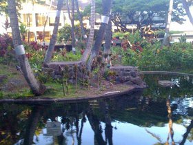 Any airport with a koi pond is okay in my book.jpg